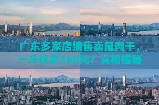广东多家店铺售卖鼠肉干，一斤仅需150元？真相揭秘与消费警示！