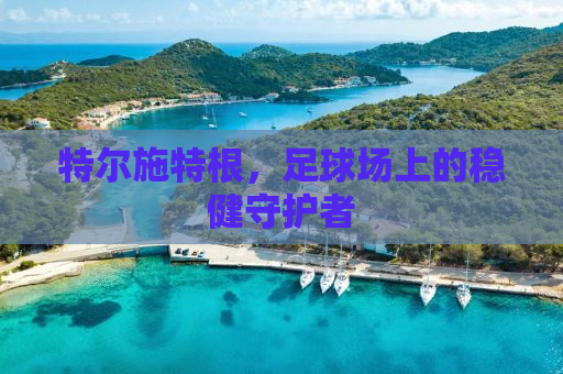 特尔施特根，足球场上的稳健守护者
