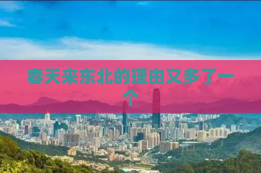 春天来东北的理由又多了一个