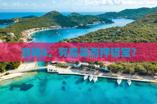 浪姐6，究竟是否押错宝？