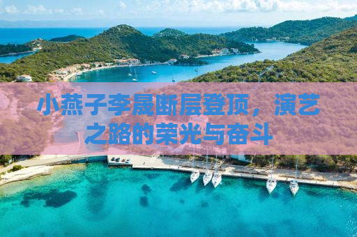 小燕子李晟断层登顶，演艺之路的荣光与奋斗