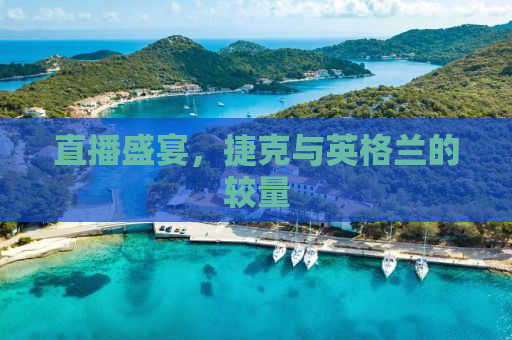 直播盛宴，捷克与英格兰的较量