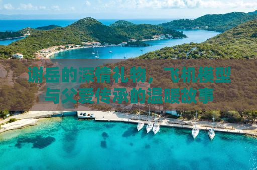 谢岳的深情礼物，飞机模型与父爱传承的温暖故事