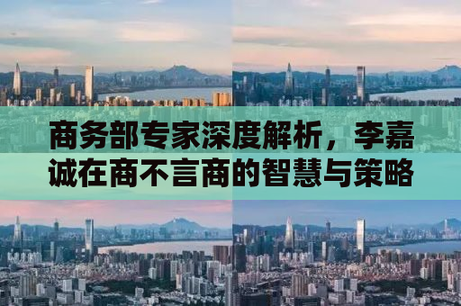 商务部专家深度解析，李嘉诚在商不言商的智慧与策略