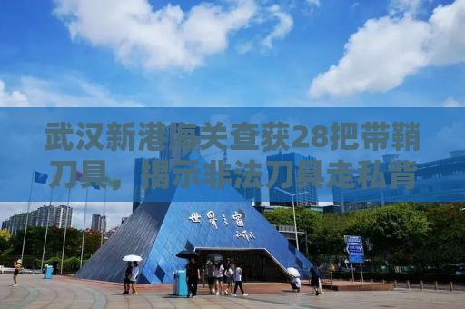 武汉新港海关查获28把带鞘刀具，揭示非法刀具走私背后的隐患与打击重要性