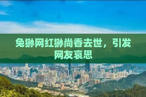 兔狲网红狲尚香去世，引发网友哀思