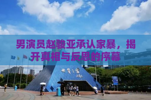男演员赵骏亚承认家暴，揭开真相与反思的序幕