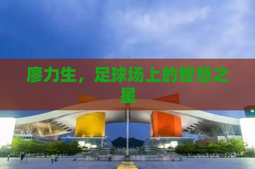 廖力生，足球场上的智慧之星