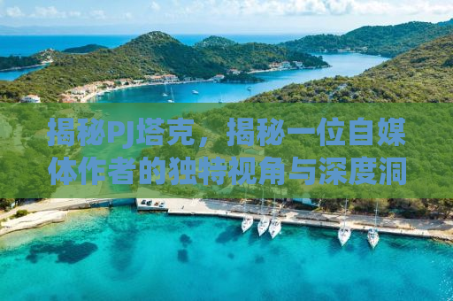 揭秘PJ塔克，揭秘一位自媒体作者的独特视角与深度洞察